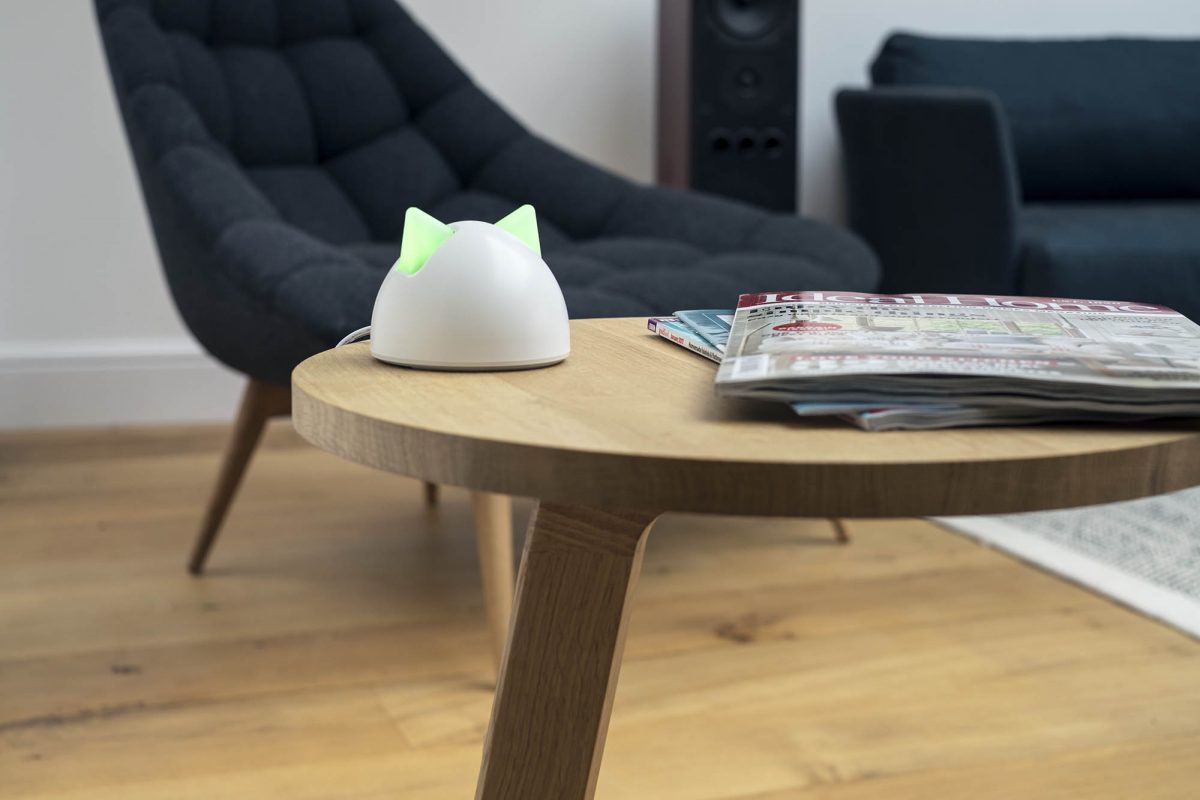 Sureflap Microchip Cat Flap Connect A Review Twin Perspectives